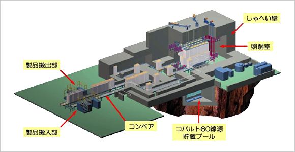 ガンマ線照射施設